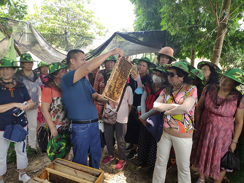 會(huì)員到基地參觀(guān)蜜蜂品嘗蜂蜜